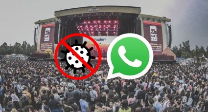 ¿Cómo descargar tu certificado de vacunación COVID-19 para asistir a conciertos, PASO A PASO, en línea y por WhatsApp?