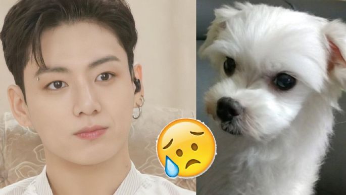 BTS: Gureum, el perrito de Jungkook es ciego; ¿por qué perdió la vista?