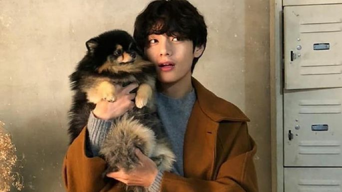 BTS: V revela los problemas de salud que tiene Yeontan y conmueve a ARMY con su agradecimiento