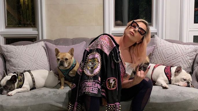 Lady Gaga: Le roban a dos perros y balean a su cuidador