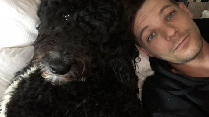 Louis Tomlinson enternece junto a su perro, Clifford; estos son los MEMES que hicieron sobre su amor