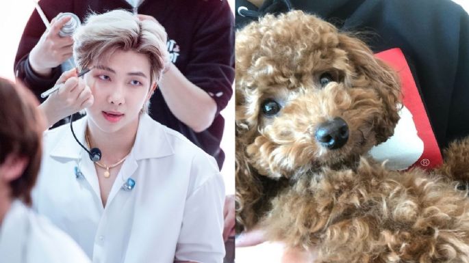 BTS: la FOTO de RM y Holly, el perrito de Suga, hicieron que ARMY perdiera la cabeza