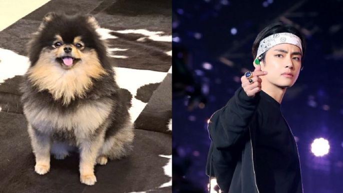 BTS: 3 tiernos videos de Yeontan en los que V demuestra cuanto ha crecido