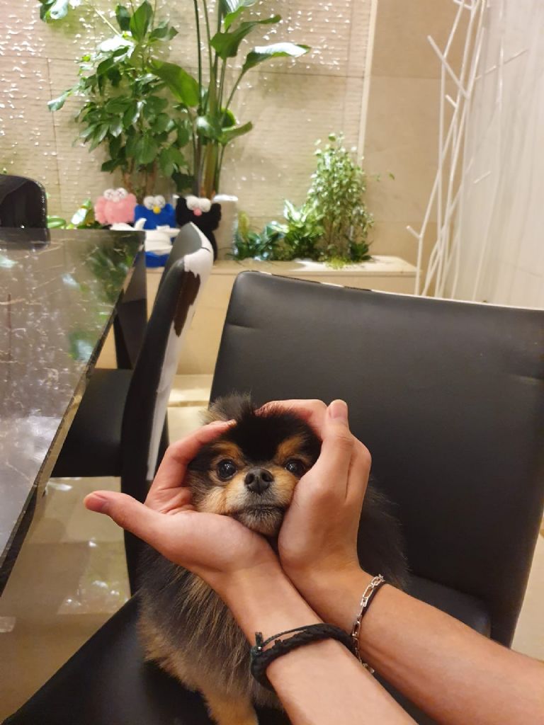 V-Yeontan-BTS-Fotos