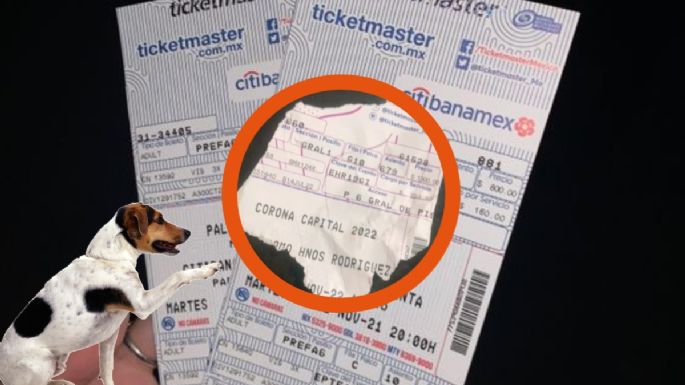 ¿Qué pasa si se rompe mi boleto de Ticketmaster o mi perro lo destruye?