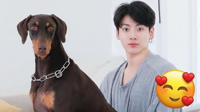 BTS: 5 fotos de Bam, el doberman de Jungkook que demuestran que era un cachorro hermoso