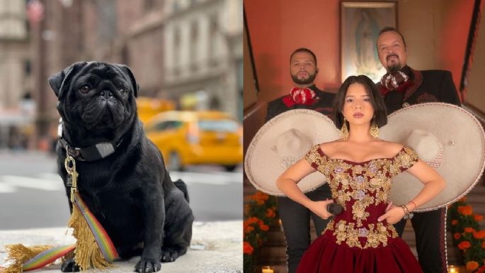 ¿Cuales son y cómo se llaman los perros de Ángela y Pepe Aguilar?