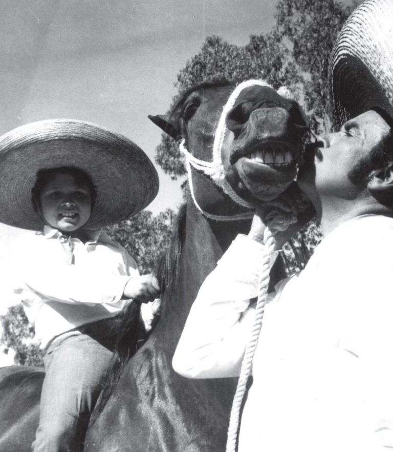 Pepe Aguilar Negocios