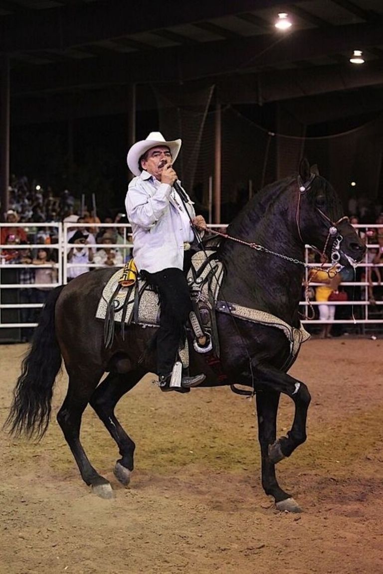 Joan Sebastian tiene varias canciones con mariachi que son ideales para el despecho