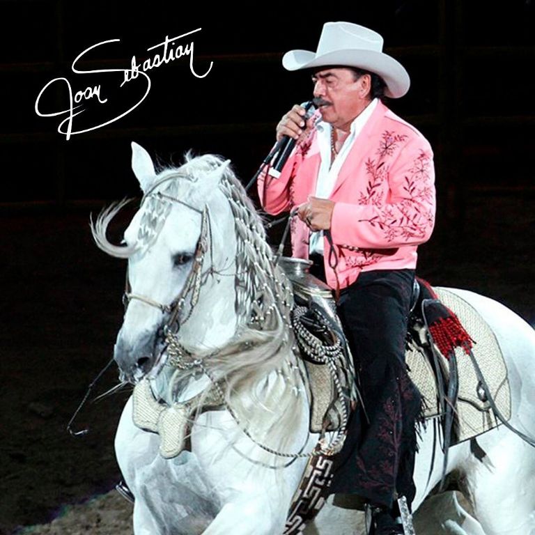 Esta es la canción de Joan Sebastian para los que perdieron al amor de su vida