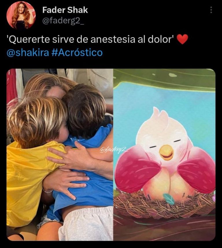 Frases Acróstico Shakira 