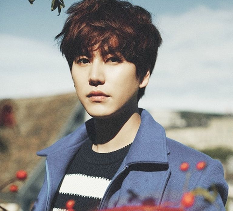 Super Junior test personalidad chico ideal