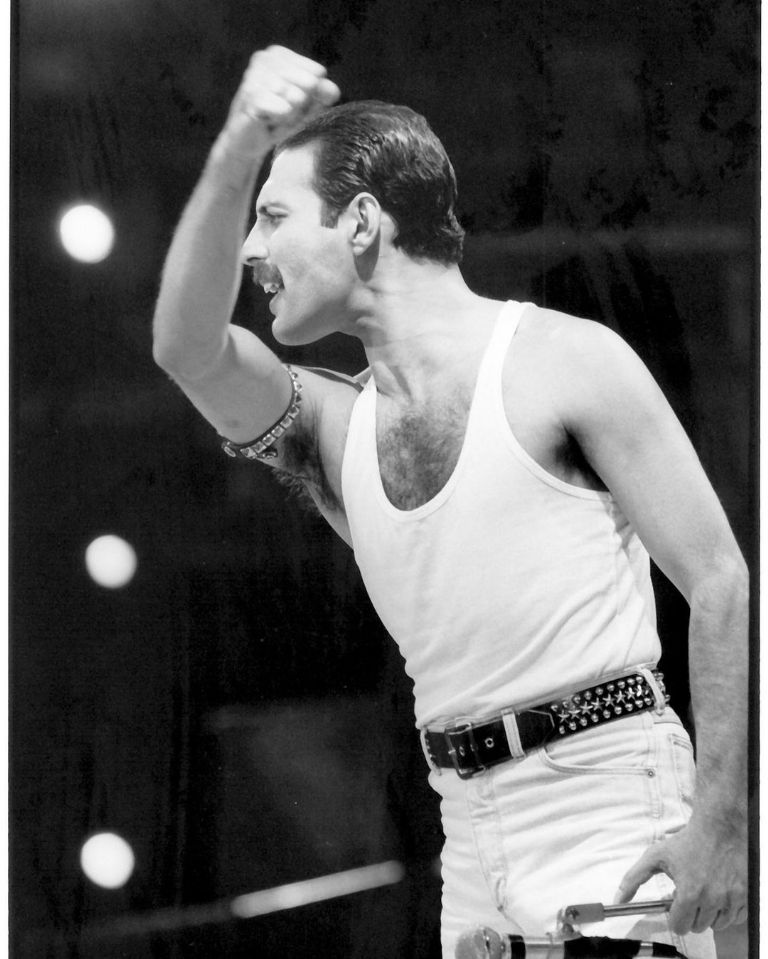 Consideras que Natanael Cano y Freddie Mercury de Queen tienen parecido