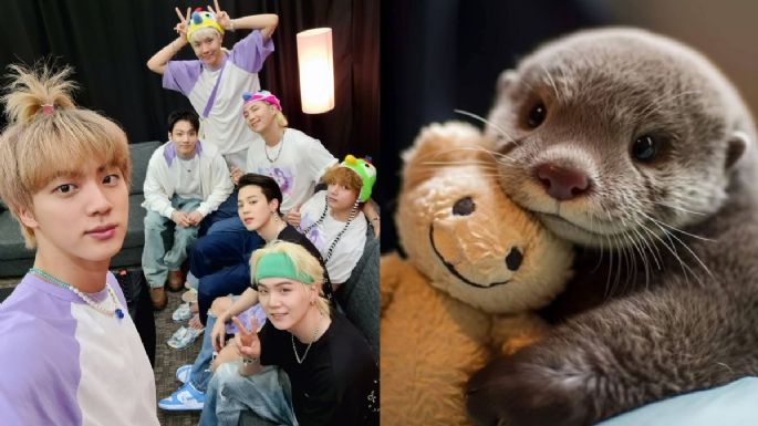 Elige una nutria y te diremos qué miembro de BTS te compondría una canción