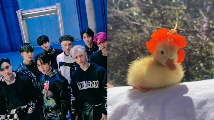 Elige un patito bebé y te diremos qué miembro de Stray Kids te robaría un beso