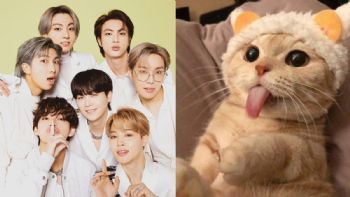 Elige un gatito: te diremos quién de BTS sería tu amante y quién tu esposo