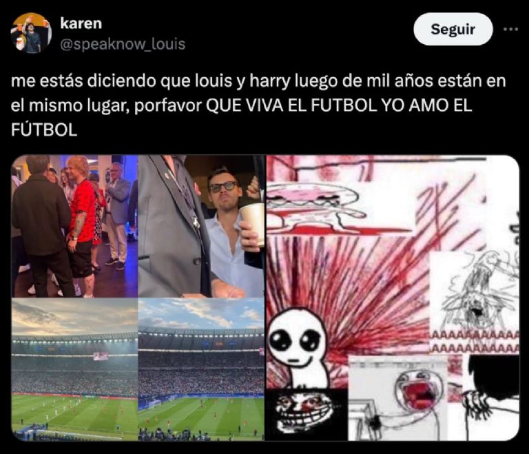 Harry Styles y Louis Tomlinson estuvieron en la Eurocopa y los memes reaccionaros