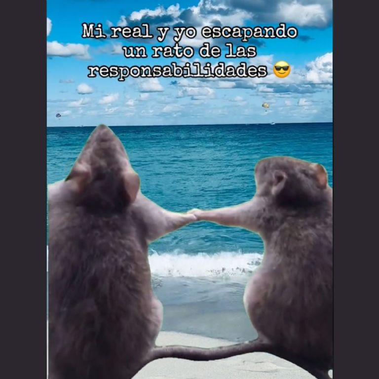 la cancion la pareja ideal en el meme viral de tiktok sobre las ratas agarradas de la mano