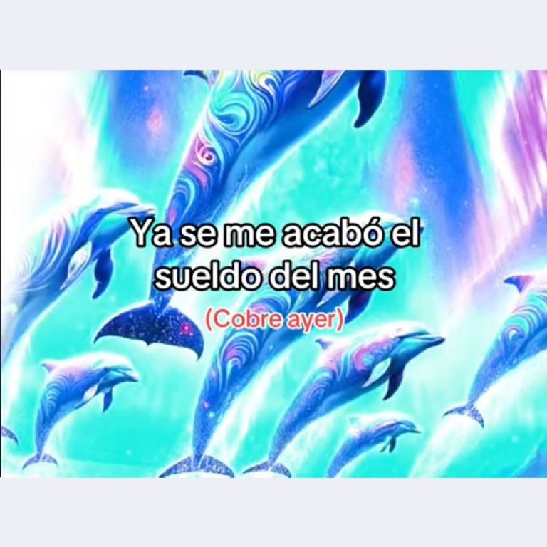 el significado de symphony la canción del meme del delfin en tiktok